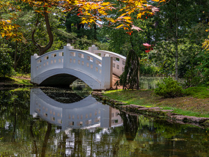 Tranquil Garden - Photo by Karin Lessard