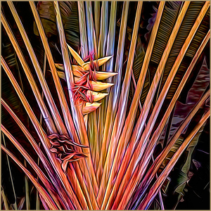 Travelers Palm - Photo by Frank Zaremba MNEC