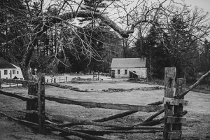 Tree and Fence Frame - Photo by Bill Payne