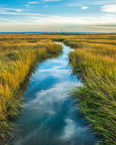 Tributary - Photo by Libby Lord