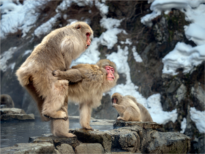Uh-oh, we have an audience - Photo by Susan Case
