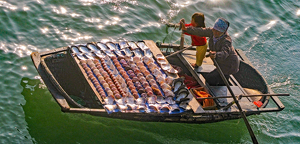 Vietnamese Shell Boat - Photo by Louis Arthur Norton