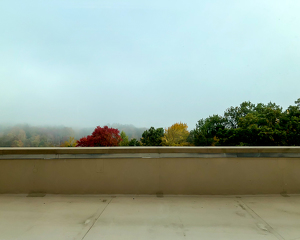 view from a hospital window - Photo by John Parisi