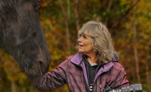 Visiting an Old Friend - Photo by Linda Miller-Gargano