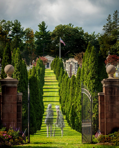 Visitors or Residents? - Photo by John Straub