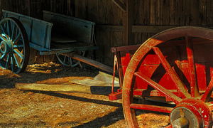 Wagons in the shed - Photo by Richard Provost