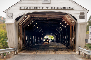 Walk Your Horse - Photo by Bill Payne