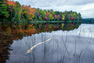 Warm Colors Near Dusk of a Gray Day - Photo by John Straub