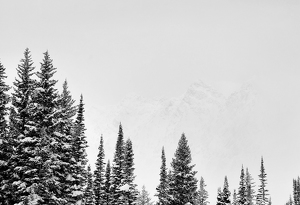 Wasatch Mountains in Mist - Photo by David McCary