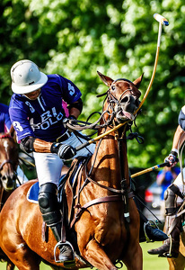 Watch the Mallet There, Ralph Lauren - Photo by John Straub