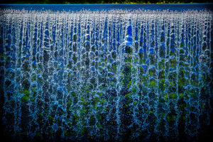 Water Over the Dam - Photo by Bill Payne