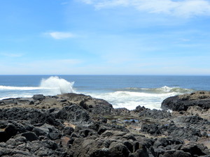 Waves breaking on the rocks - Perpetua Point OR - Photo by Chip Neumann