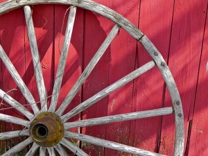 Weathered and Red - Photo by Cheryl Picard