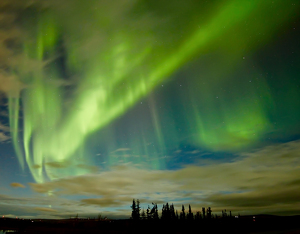 Class A HM: When color paints the nighttime sky...2 by Barbara Steele