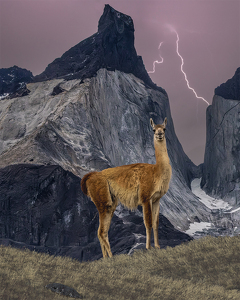 When Timing is Perfect - Photo by Eric Wolfe