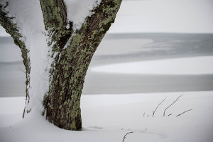 Winters Blanket - Photo by Kevin Hulse