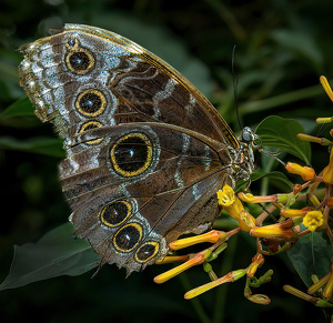 Yellow is My Favorite Flavor - Photo by Mary Anne Sirkin