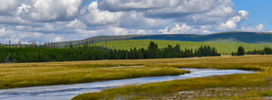 Yellowstone's Color Palette - Photo by Cheryl Picard