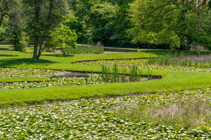 Zig Zag At Forest Park - Photo by Marylou Lavoie